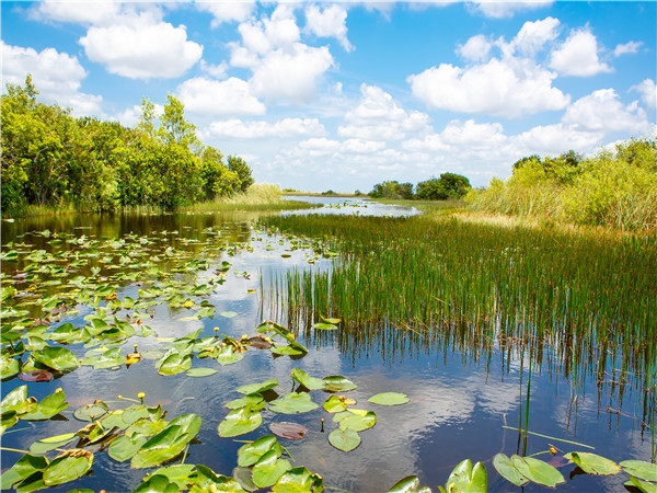 大沼泽国家公园—迈阿密市区游—倒数