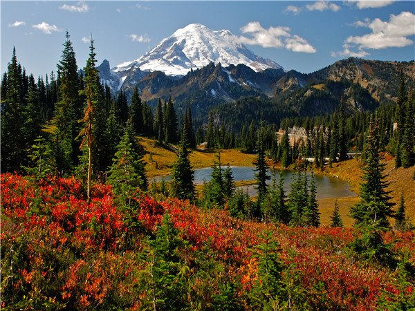 雷尼尔山国家公园 – 西雅图