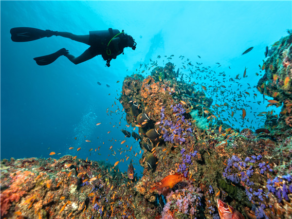 圣克鲁斯岛 - 弗罗雷阿纳岛 - 罗贝利亚海滩浮潜