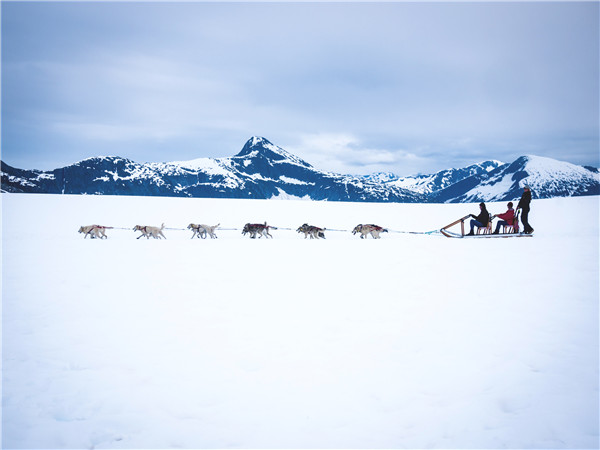  费尔班克斯市区游览（圣诞老人之家北极村、北方极地博物馆，含亚式午餐）