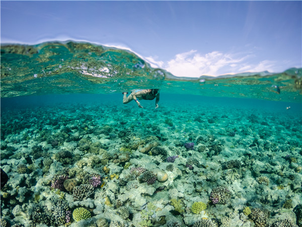 华光礁 北礁(潜水,水下摄影) 返航三亚